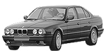 BMW E34 U256E Fault Code